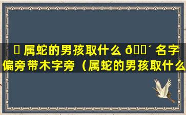 ☘ 属蛇的男孩取什么 🌴 名字偏旁带木字旁（属蛇的男孩取什么名字偏旁带木字旁好）